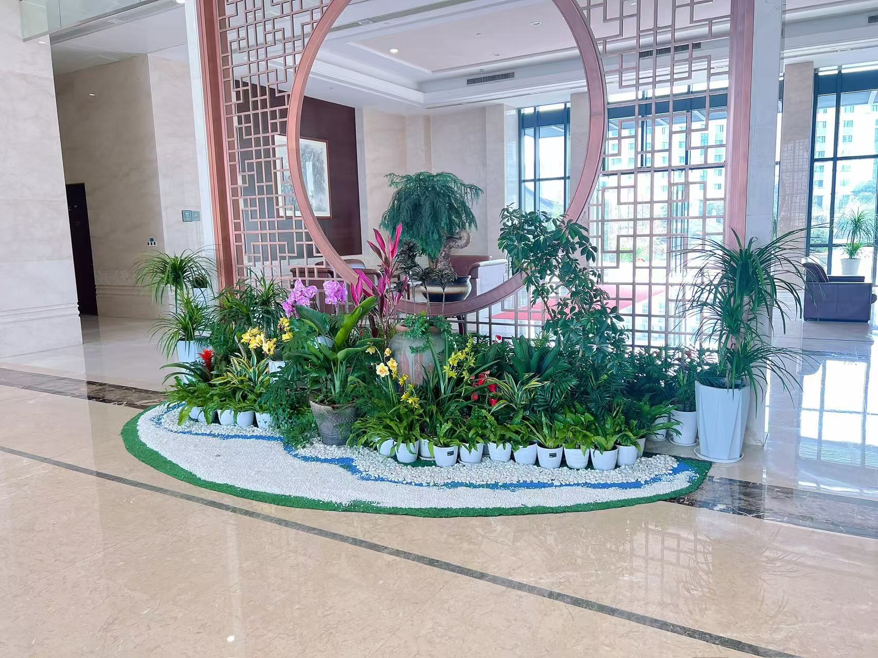 奉化花卉租赁价格 奉化花卉租赁价格